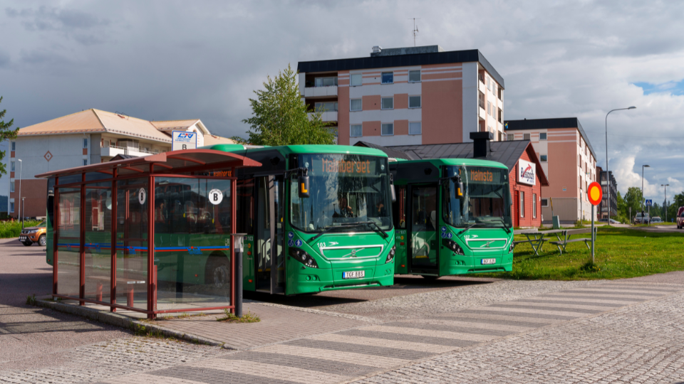 buss