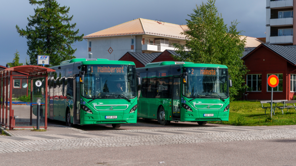 bussar