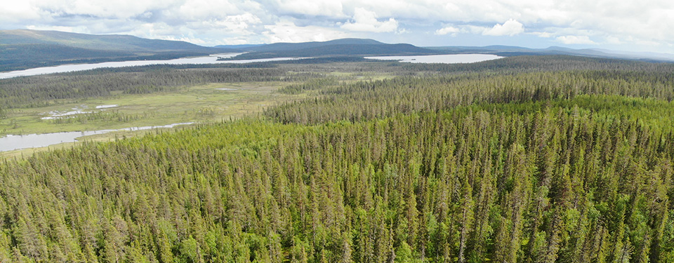 Drönarbild över Peltovaara Mångfaldspark