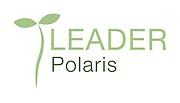 Leader polaris logotyp