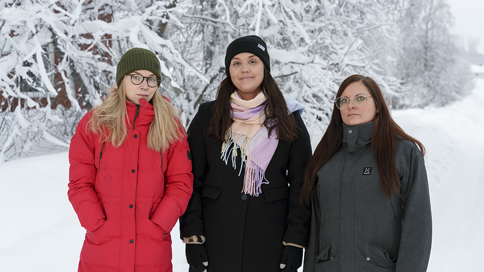 Föräldrasupporten