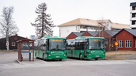 Lokalbussar