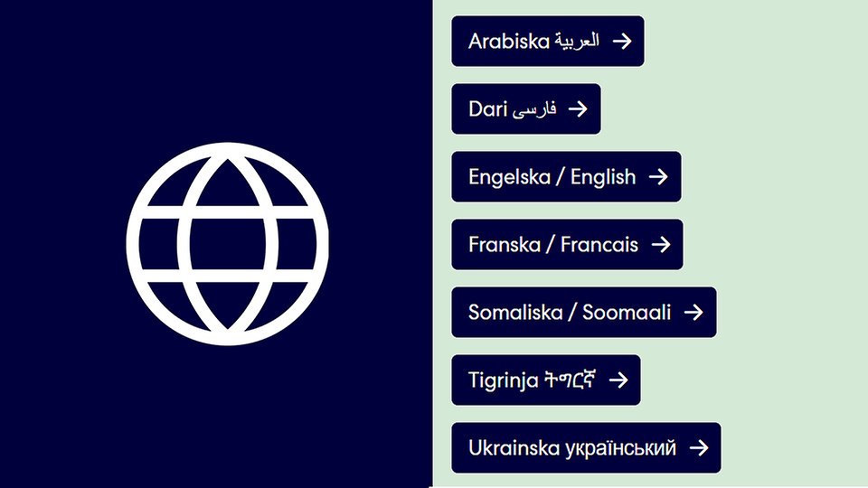 Integrationsstrategen visar information under ett möte